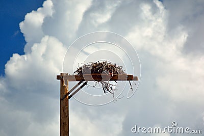 Bird of Prey Hawk's Falcon's Erected Man Made Nest on a Pole Stock Photo