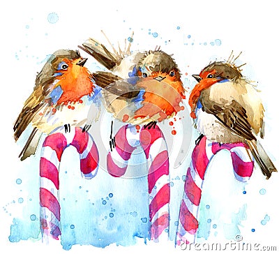 Bird robin illustration. bird robin and Christmas candy watercolor background. Cartoon Illustration