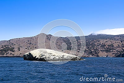 Bird Rock Catalina Island Stock Photo