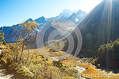 Bird's eye view of Luorong Meadow in Daocheng Yading Stock Photo