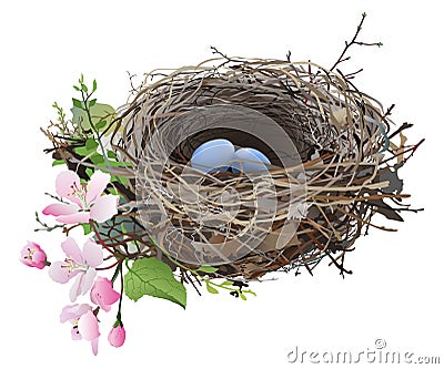 Bird's Nest with eggs. Vector Illustration