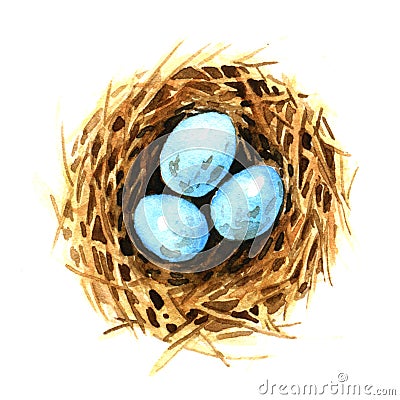 Bird's nest with eggs Cartoon Illustration