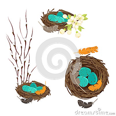 Bird`s nests with eggs set Vector Illustration