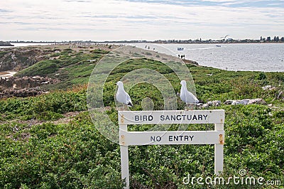 Bird Sanctuary Stock Photo