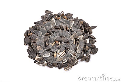 Bird seed Stock Photo