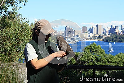 Bird Show @ Taronga Zoo, Sydney Editorial Stock Photo