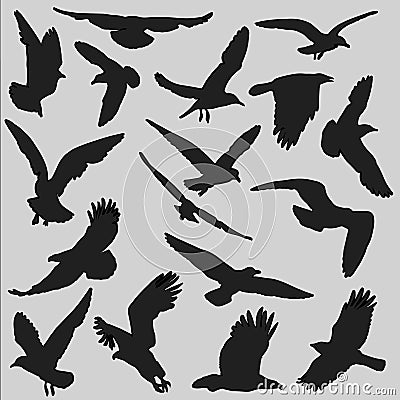 Bird silhouette Vector Illustration