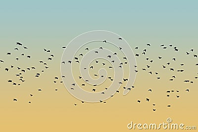 Bird silhouette swarm Stock Photo