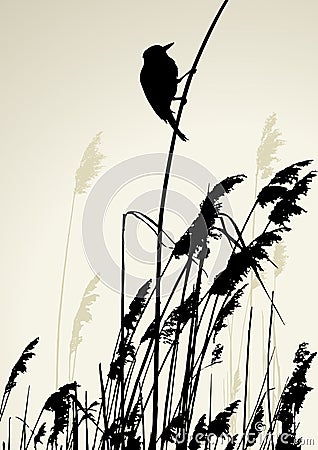 A bird sitting on reed, during the summer day Vector Illustration