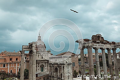 Bird in sky over Ancient ruins in Roman Forum Editorial Stock Photo