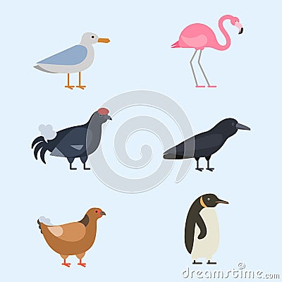 Bird species collection different vector illustration wild animal characters avifauna tropical feather pets Vector Illustration