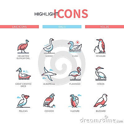 Bird species - modern line design style icons set Vector Illustration