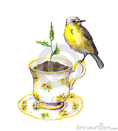 Bird, spring sprout - green growing plant in teacup. Watercolor Stock Photo