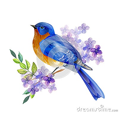 Bird of Spring vector Vector Illustration