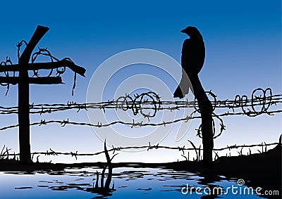 Bird standing on wire fence Vector Illustration