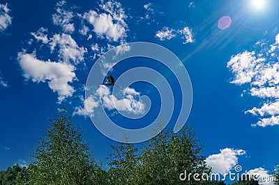 Bird stork in flight against the blue sky Stock Photo