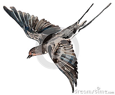 Bird swallow watercolor, pattern Stock Photo