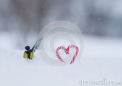 Bright cute bird tit sitting in the snow next to sweet red candy lollipops in the shape of a heart on a festive Valentine`s day Stock Photo