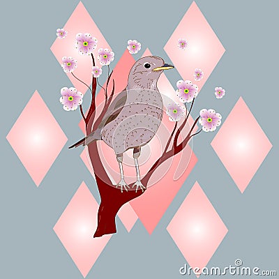 Bird Vector Illustration