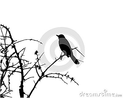 Bird in Tree Sillhouette Vector Vector Illustration