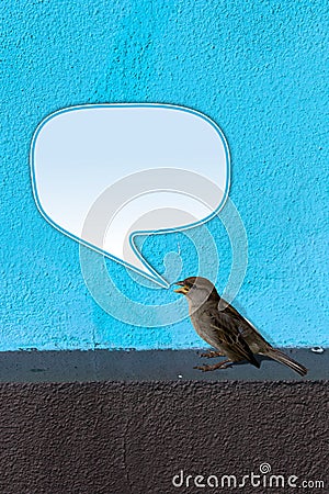 Bird twittering Stock Photo