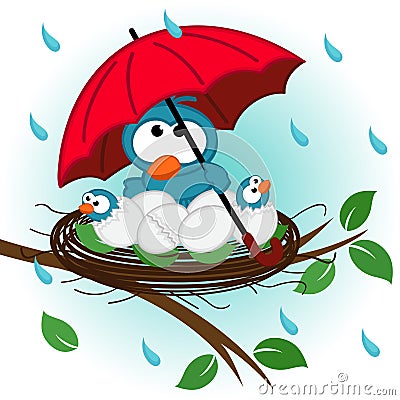 Bird under umbrella in nest Vector Illustration