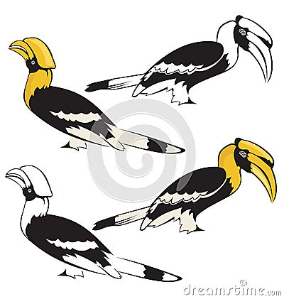 Bird Cartoon Illustration