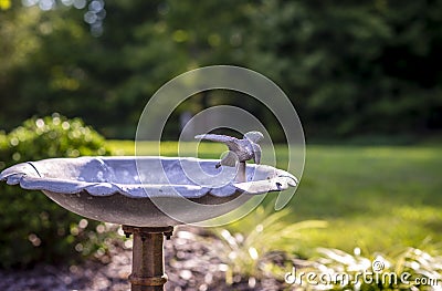 Bird Water Fountain Stock Photo