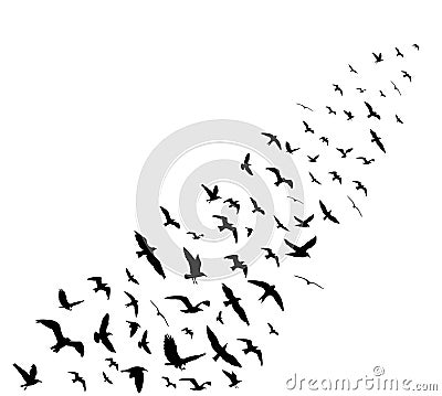 Bird wedge silhouettes on white background Vector Illustration