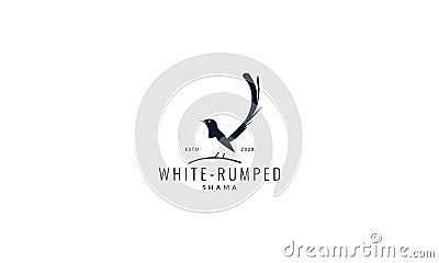 Bird White rumped shama vector Vector Illustration