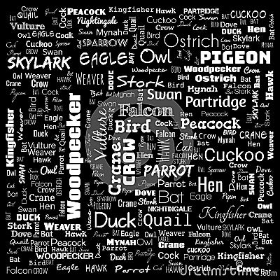 bird word cloud. word cloud use for banner, painting, motivation, web-page, website background, t-shirt & shirt printing, poster, Cartoon Illustration