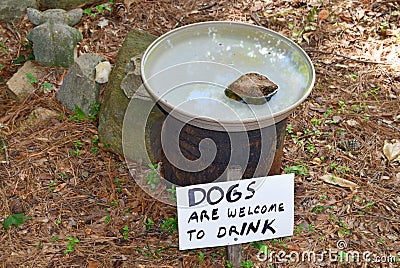 Birdbath with humorous sign Stock Photo