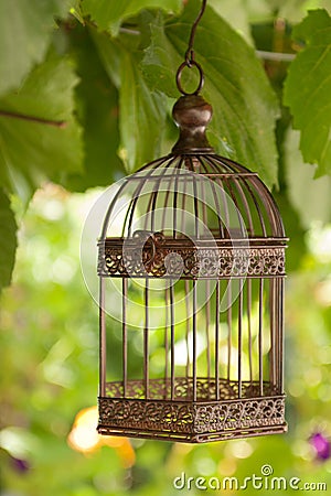 Birdcage Stock Photo