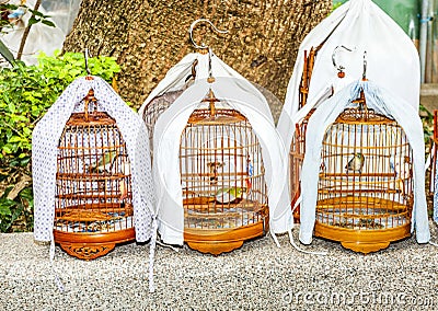 Birdcages at the Yuen Po Street Bird Garden in Hong Kong Stock Photo