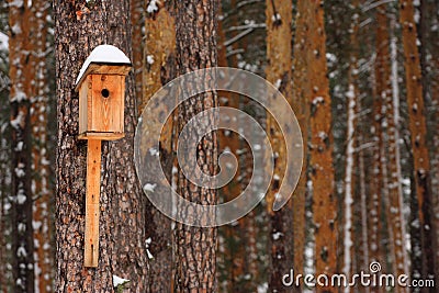 Birdhouse Stock Photo