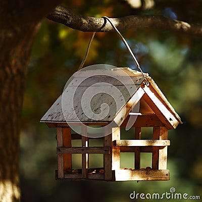 Birdhouse in the autumn forest Stock Photo