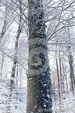 Birdhouse - Birds nest - snow covered Stock Photo