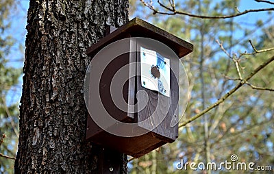 Birdhouse built for smaller species of tit and robins that have a smaller inlet opening. The woodpecker likes to enlarge the hole Stock Photo