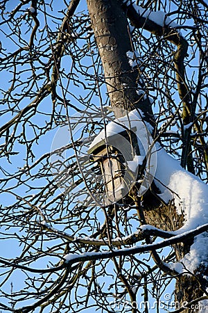 Birdhouse covered with freshly fallen snow Stock Photo