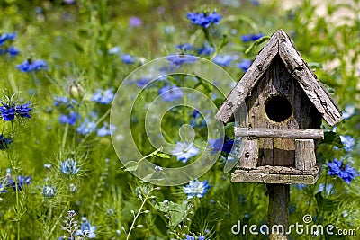 Birdhouse Among the Flowers Stock Photo