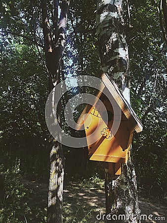 The birdhouse in a forest Stock Photo