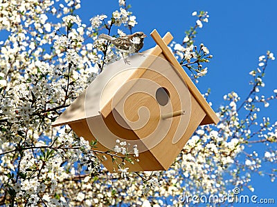 Birdhouse in garden Stock Photo