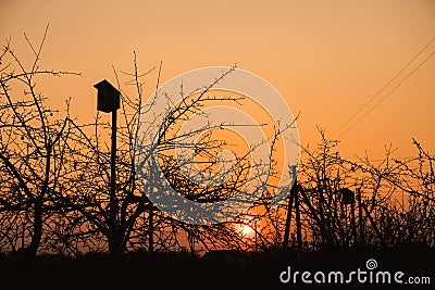 Birdhouse in the garden during sunset Stock Photo