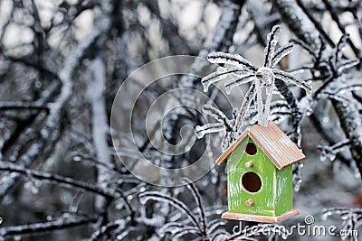 Birdhouse hanging on ice covered tree branches Stock Photo