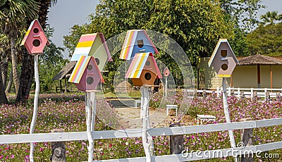 The birdhouse is made of wooden like a small residential house, painted beautifully, provided for a bird to make its nest in Stock Photo