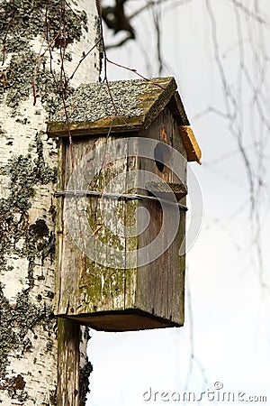 Birdhouse Stock Photo
