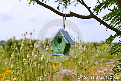 Birdhouse in a tree Stock Photo