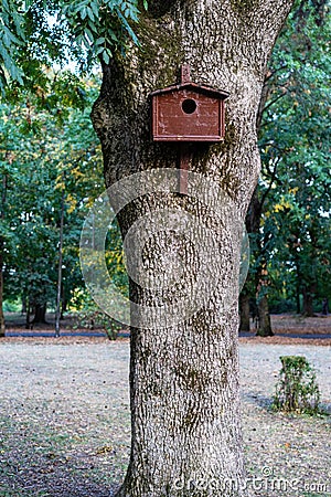 Birdhouse tree house for birds Stock Photo