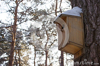 Birdhouse on the tree Stock Photo