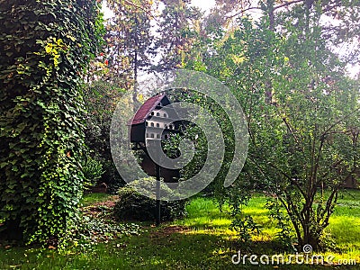 Birdhouse among trees Stock Photo